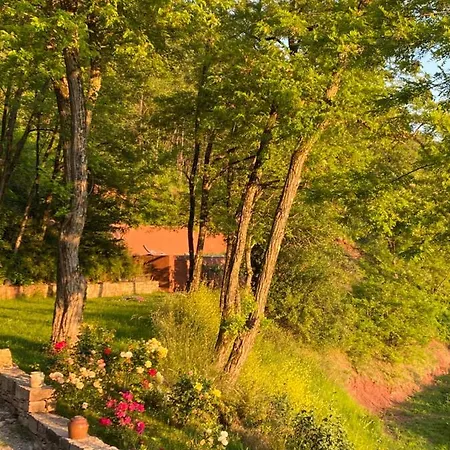 Domaine D'exception, Maison D'artiste Clairvaux-d'Aveyron