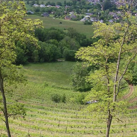 Domaine D'exception, Maison D'artiste Villa